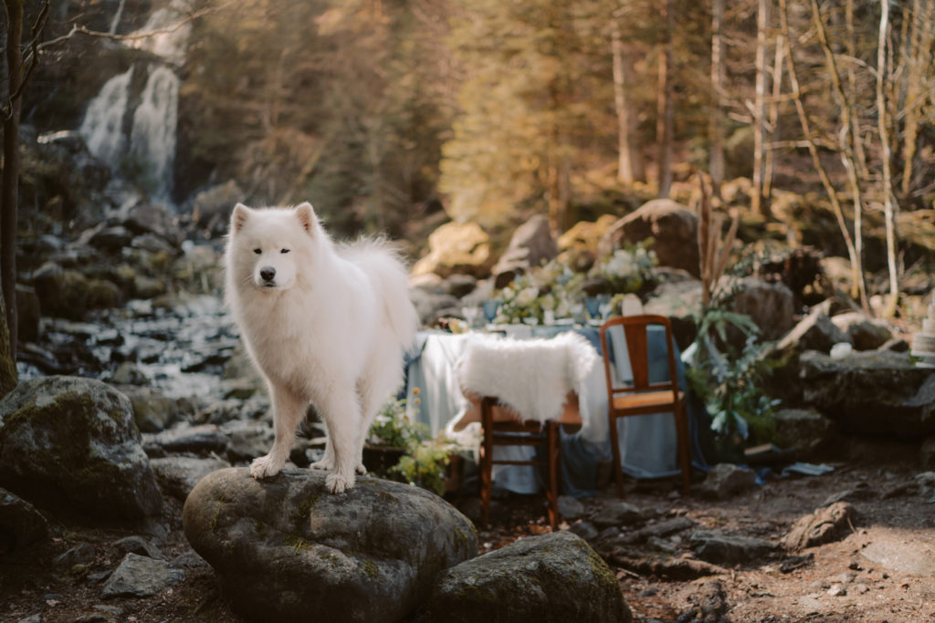 shooting d'inspiration dédié au mariage
